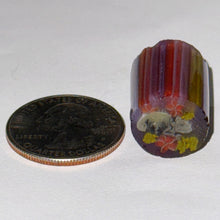 Load image into Gallery viewer, Stephen Boehme Chameleon Cane v2

