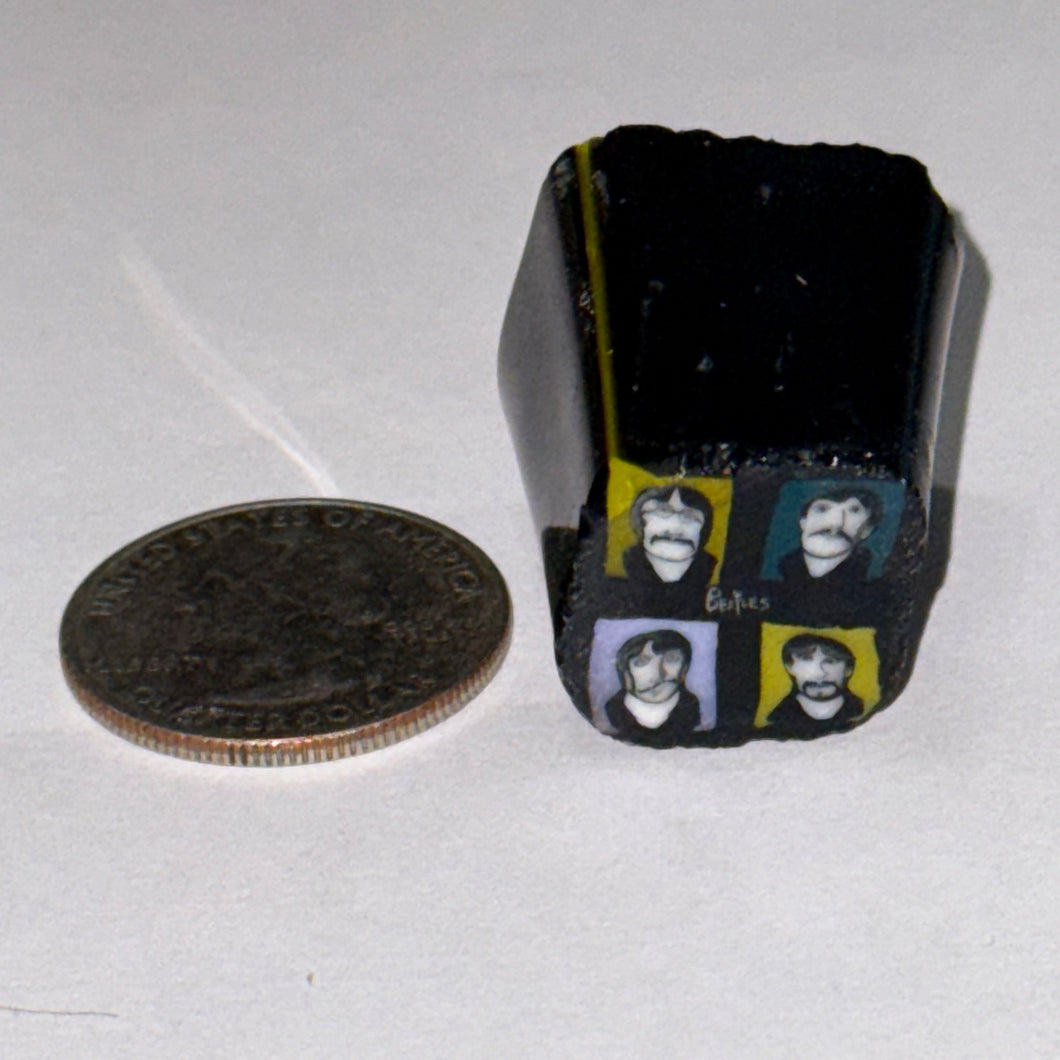 Greg Chase Beatles Cane