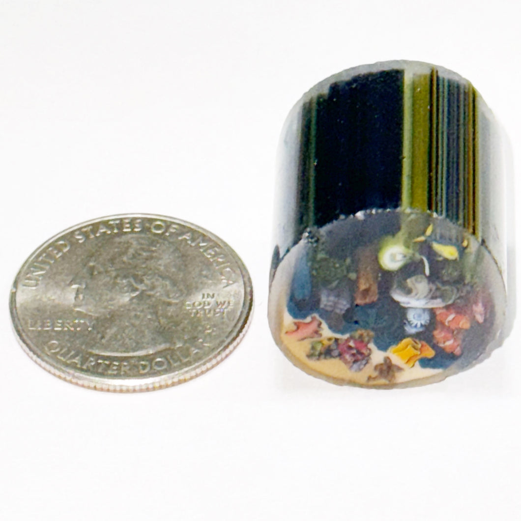 Stephen Boehme x Karl Taylor x Rocko x Dapo x Greg Wilson 20000 Millies Under the Sea Cane