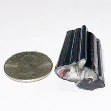 Load image into Gallery viewer, Stephen Boehme Shark Cane
