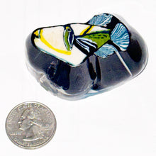 Load image into Gallery viewer, Stephen Boehme Trigger Fish Paperweight

