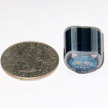 Load image into Gallery viewer, Zac Otlowski Derby the Tiger Cane
