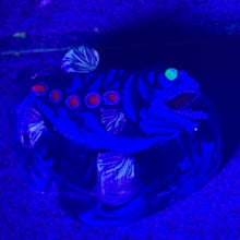 Load image into Gallery viewer, Stephen Boehme Angler Fish Paperweight

