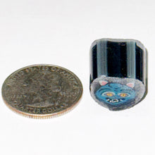 Load image into Gallery viewer, Zac Otlowski Derby the Tiger Cane
