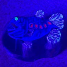 Load image into Gallery viewer, Stephen Boehme Angler Fish Paperweight

