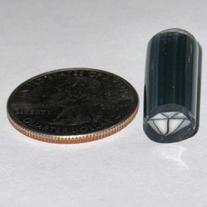 Beth James Diamond Cane
