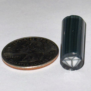 Beth James Diamond Cane