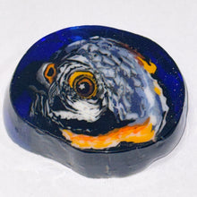Load image into Gallery viewer, Stephen Boehme American Kestrel Paperweight
