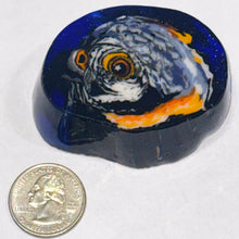 Load image into Gallery viewer, Stephen Boehme American Kestrel Paperweight
