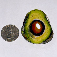 Load image into Gallery viewer, Stephen Boehme Avocado Paperweight
