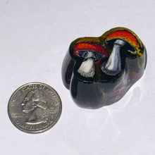Load image into Gallery viewer, Stephen Boehme Mushrooms Paperweight
