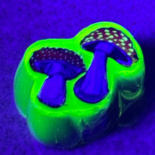 Load image into Gallery viewer, Stephen Boehme Mushrooms Paperweight
