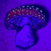 Load image into Gallery viewer, Stephen Boehme Mushroom Paperweight
