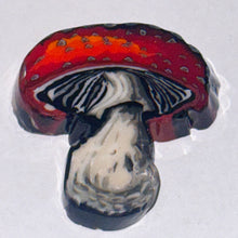 Load image into Gallery viewer, Stephen Boehme Mushroom Paperweight
