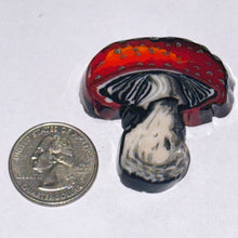 Load image into Gallery viewer, Stephen Boehme Mushroom Paperweight
