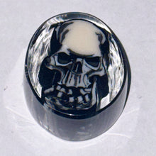 Load image into Gallery viewer, Stephen Boehme Skull Paperweight
