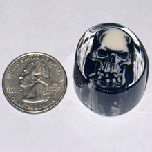 Load image into Gallery viewer, Stephen Boehme Skull Paperweight
