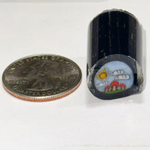 Load image into Gallery viewer, Dapo Glass Mushroom Scene Cane
