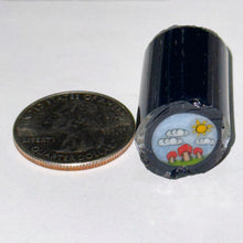 Load image into Gallery viewer, Dapo Glass Mushroom Scene Cane
