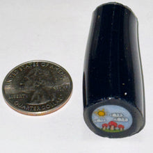 Load image into Gallery viewer, Dapo Glass Mushroom Scene Cane
