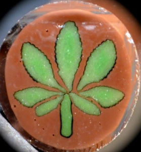 Jason Lee Chocolate Thai Leaf Cane