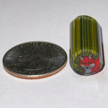 Load image into Gallery viewer, Jason Lee x Tara Roberts Fox Cane
