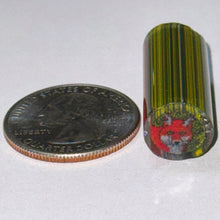 Load image into Gallery viewer, Jason Lee x Tara Roberts Fox Cane
