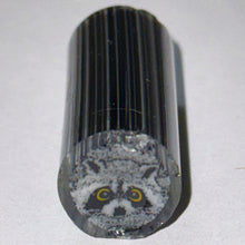 Load image into Gallery viewer, Tara Roberts Raccoon Cane
