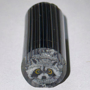 Tara Roberts Raccoon Cane
