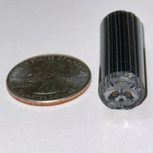 Load image into Gallery viewer, Tara Roberts Raccoon Cane
