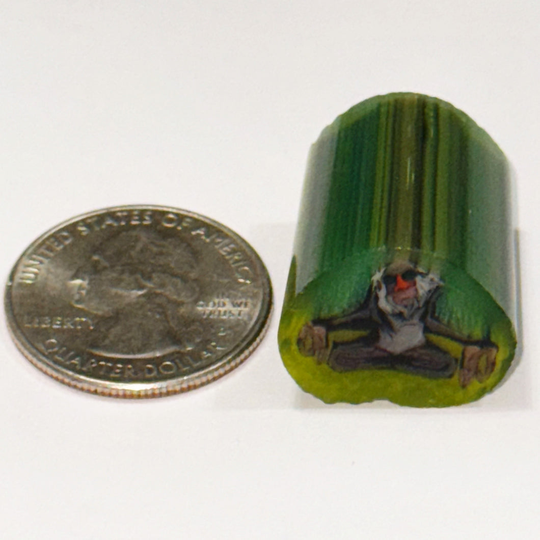 Stephen Boehme Rafiki Cane