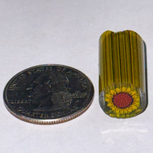 Load image into Gallery viewer, Dave Strobel Sunflower Cane
