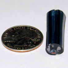 Load image into Gallery viewer, Malachi Wilkinson Stitch Cane
