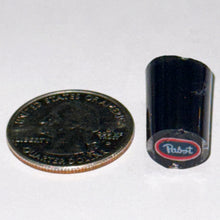 Load image into Gallery viewer, Malachi Wilkinson Pabst Cane
