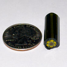 Load image into Gallery viewer, Malachi Wilkinson Yellow Flower Cane
