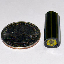 Load image into Gallery viewer, Malachi Wilkinson Yellow Flower Cane
