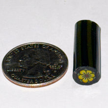 Load image into Gallery viewer, Malachi Wilkinson Yellow Flower Cane
