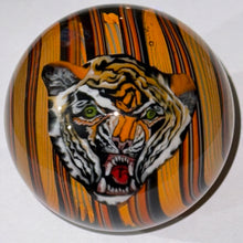 Load image into Gallery viewer, Stephen Boehme x Robert Koch Tiger Marble
