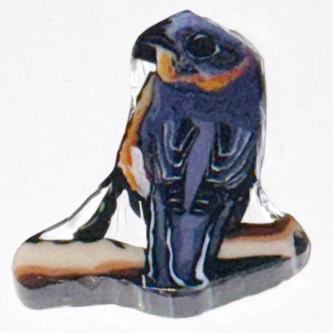 Stephen Boehme Bluebird Coin