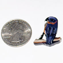 Load image into Gallery viewer, Stephen Boehme Bluebird Coin
