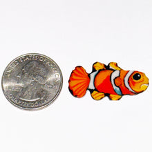 Load image into Gallery viewer, Stephen Boehme Clown Fish Coin
