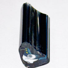 Load image into Gallery viewer, Zac Otlowski Demon Pigeon Cane
