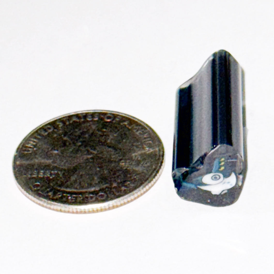 Zac Otlowski Demon Pigeon Cane