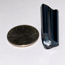 Load image into Gallery viewer, Zac Otlowski Demon Pigeon Cane
