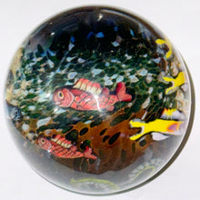 Load image into Gallery viewer, Stephen Boehme Deep Ocean Marble
