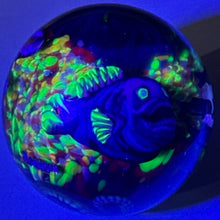 Load image into Gallery viewer, Stephen Boehme Deep Ocean Marble
