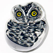 Load image into Gallery viewer, Stephen Boehme Owl Paperweight
