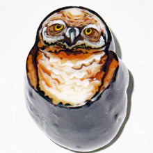 Load image into Gallery viewer, Stephen Boehme Owl Paperweight
