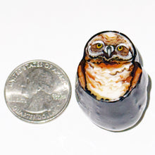 Load image into Gallery viewer, Stephen Boehme Owl Paperweight
