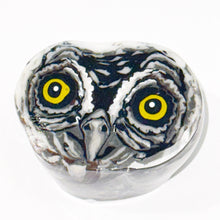 Load image into Gallery viewer, Stephen Boehme Owl Eyes Paperweight
